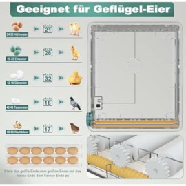 CoInceptus automātisks olu inkubators 36 vistu olām ar temperatūras kontroli. 