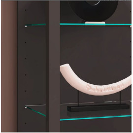 Vitrīna GLASOL XXL, antracīts.