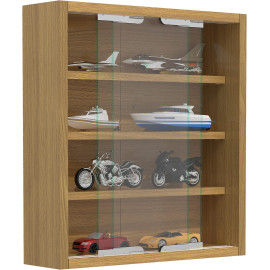 VCM “Agisa” sienas vitrīna.