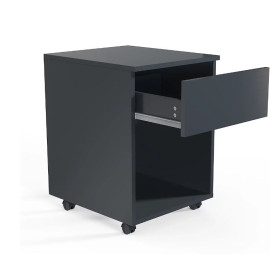 VCM skapītis uz riteņiem “Dalosa 45”.