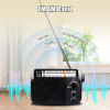 Retekess TR604 radio.