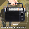 Retekess TR604 radio.