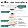 Coinceptus pilnībā automātisks inkubators 35 olām.