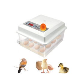 Automātisks inkubators “Sunmark”.