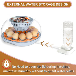 “WYD2ANG” viedais olu inkubators.