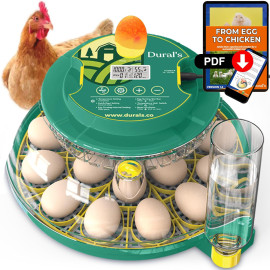 Dural's DX5® , FCC un CE sertificēts olu inkubators.