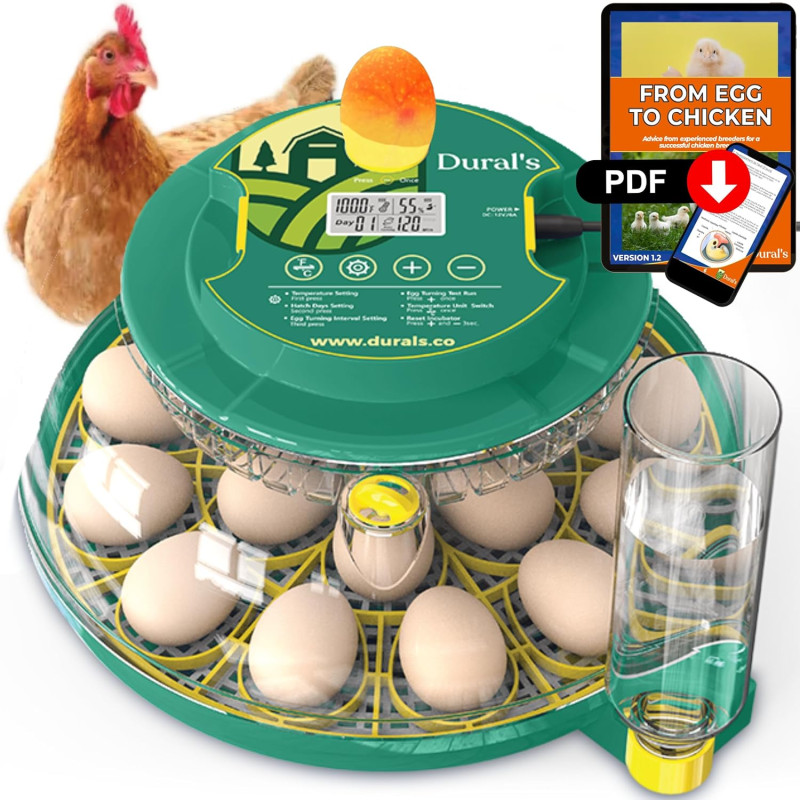 Dural's DX5® , FCC un CE sertificēts olu inkubators.