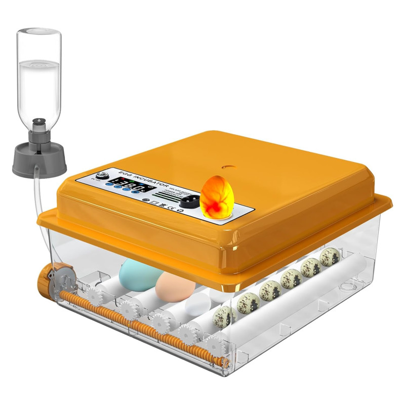 “Chalixion” pilnībā automātisks inkubators 16 olām.