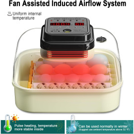 CoInceptus 16 olu inkubators.