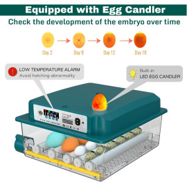 Inkubators CoInceptus 16 olām.