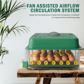  “Heninhill” inkubators 36 vistu olām ar automātisko olu grozītāju un mitruma monitoru.