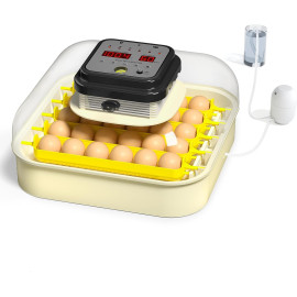 Olu inkubators cāļu perēšanai.