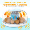 Okkobi M12 inkubators ar automātisku olu apgriešanu un mitruma kontroli - 12/24 olām.