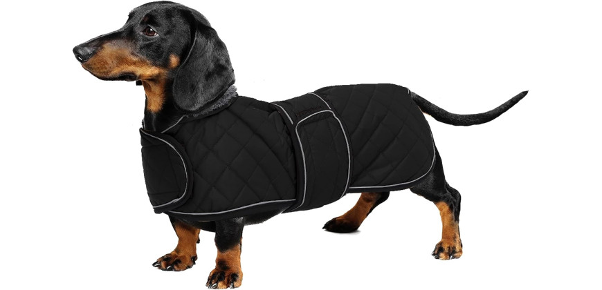 Silts stepēts suņu mētelītis takšiem ar flīsa oderi.