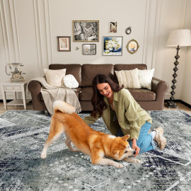 Vamcheer abstrakts vintage paklājs viesistabai.