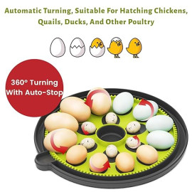 18 vistu olu inkubators ar automātisku olu apgriešanu, olu LED lampu un termometru – TRIOCOTTAGE.