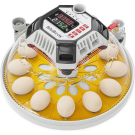 “BIBIBIRDS” pilnībā automātisks olu perēšanas inkubators 12 vistu olām.