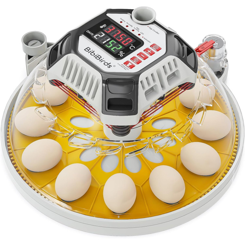 “BIBIBIRDS” pilnībā automātisks olu perēšanas inkubators 12 vistu olām.
