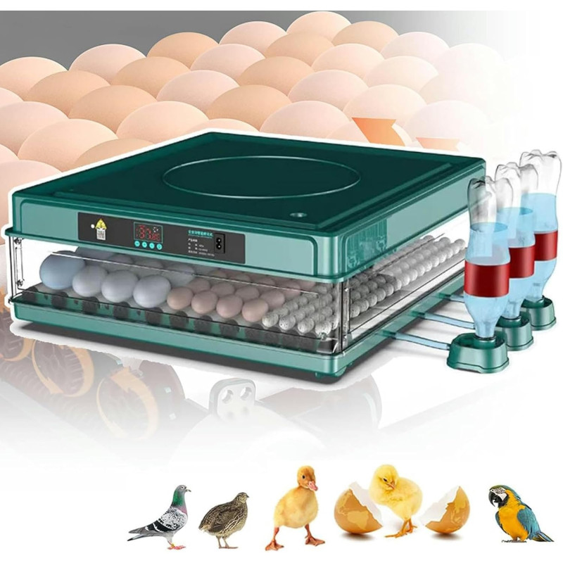 “WZUOPG” 36 vistu olu inkubators.