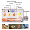 Pilnībā automātisks inkubators “‎ HUOHUOZHU” 20 vistu olām.